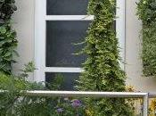 Vertigarden, nouvelle solution fleurissement vertical