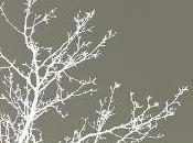 Garden Méditation 2009