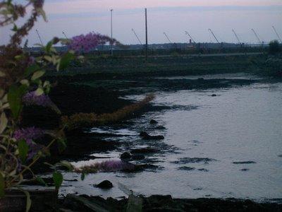 me voici à nouveau devant la mer...