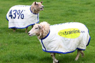 http://regmedia.co.uk/2009/04/24/thetrainline_sheep.jpg