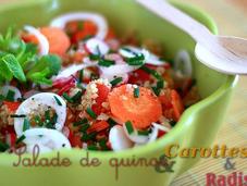 Salade Quinoa carottes, radis oignons nouveaux