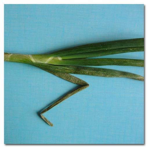 Inventaire Alimentaire |013|014|015|016|