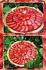 Tarte fraises compote rhubarbe épicée.