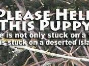 Malaisie aussi devient pays BARBARE!