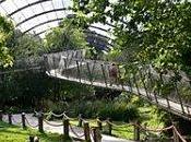 Petit coin Paradis(io)