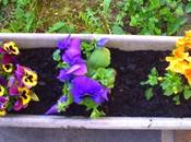 écho pensées Lilounette