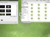 Linux Mint disponible