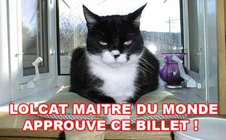 Comment manipuler les chiffres afin de conquérir le monde ? Lolcat Maitre du monde