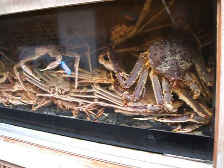 Crabes maltraités