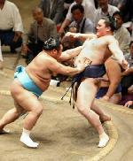 communauté du sumo