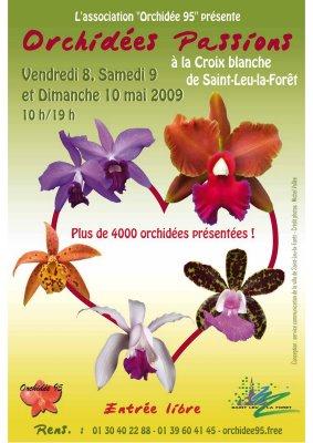 Exposition d'orchidées à Saint-Leu-la-Forêt
