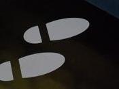 chanteuse féline chien