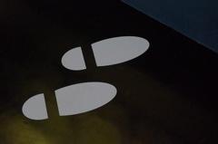 Une chanteuse féline qui a du chien