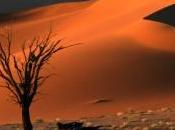 études font Namibie berceau l'humanité