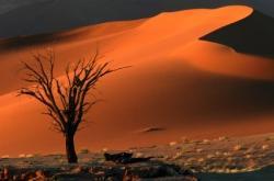 Afrique Namibie désert