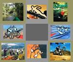 Idée sortie parcours tyroliennes 500m long