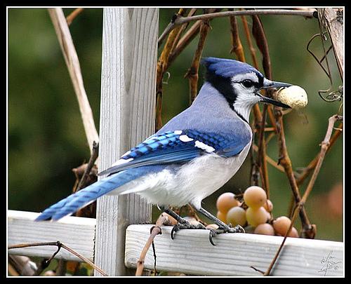 John Doe part à la chasse