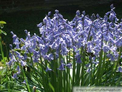 Un mystère dans le jardin