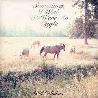 Bill Callahan - Sometimes I wish we were an eagle (2009)