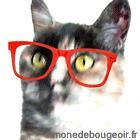 Au début, je voulais apprendre à monter des vidéos mais, finalement, les GIF animés c’est bien plus marrant.
(Simone de Bougeoir)