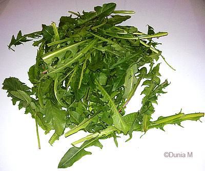 La Chaux-de-Fonds: jardin potager dent-de-lion 2009