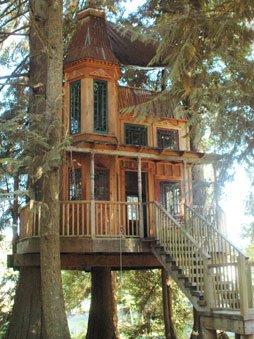 Ma maison dans les arbres