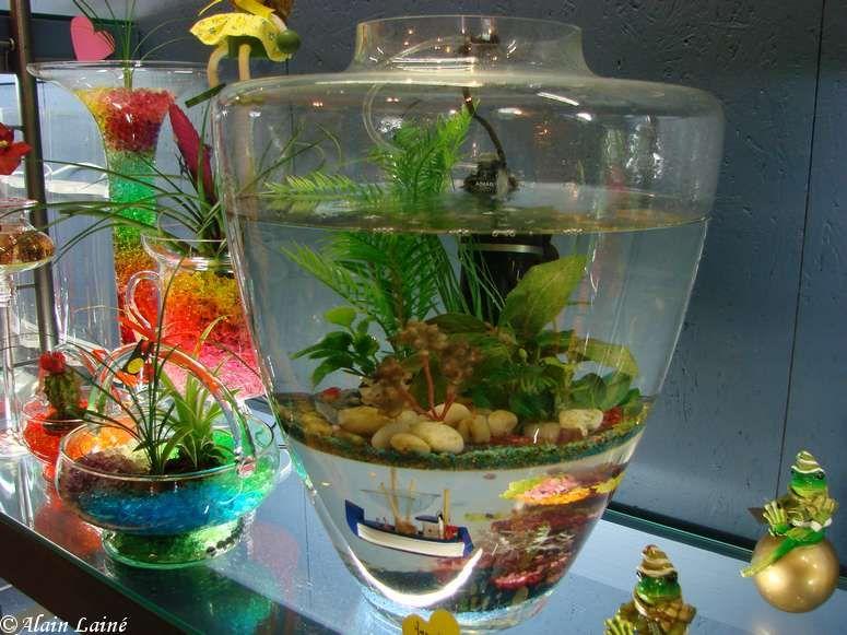 La_Gacilly_12Avr09_8