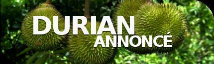 Durian Annoncé