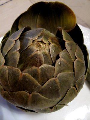 Artichaut tout beau !