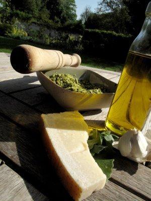 Fanes de… Fanes de…