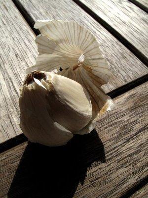 Fanes de… Fanes de…