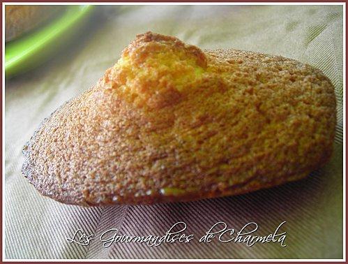 Madeleines au Salidou
