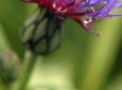 temps passe trop vite