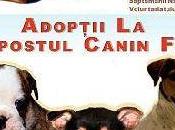 Semaine d'action l'association