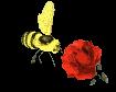 http://apicultureseb.unblog.fr/files/2009/02/abeille017.gif