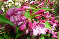 101_PANA-P1010303_P1010303