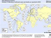 Grippe carte l'évolution mondiale