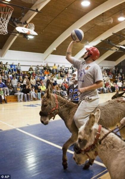 Basket-ball à dos d'âne