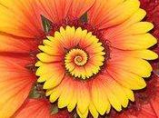 Vecteurs,progression spiralée "droste effect"