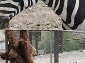 Défi photo joli mois