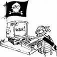 piratage logiciels informatiques baisse pour année consécutive France