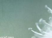 Morning Rain, sons relaxants Nature