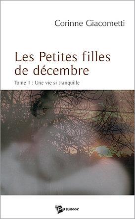 Mon premier roman : un peu de votre Plume...