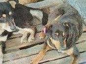 journaliste fait travail!