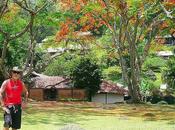 Impressions Thaïlande après bientôt jours séjour