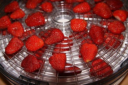 Fraises déshydratées