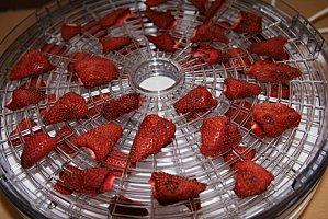 Fraises déshydratées