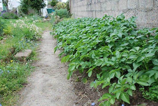 Un petit tour au jardin : #1