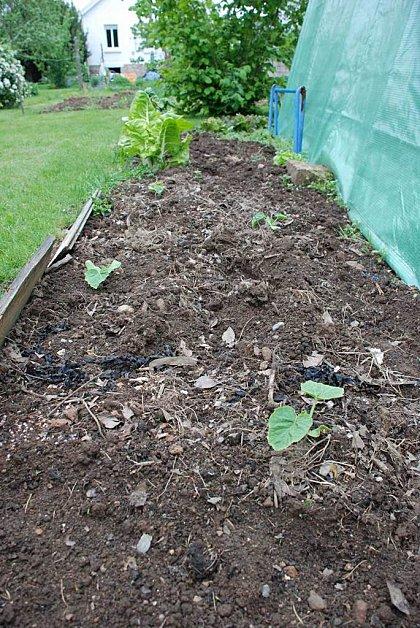 Un petit tour au jardin : #1