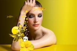 Salon Maison et Objet